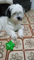 Belinha