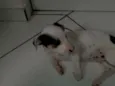 Não tem 