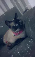 railey