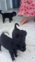 Nao tem ainda