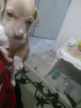 Não tem nome