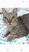 Antônio lindo bebê