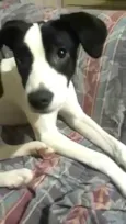 Lupita