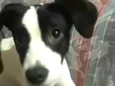 Lupita