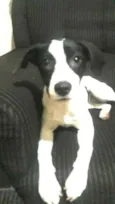 Lupita
