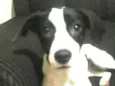 Lupita