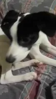 Lupita