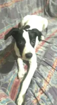 Lupita