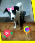 Lupita