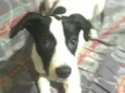 Lupita
