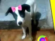Lupita