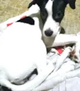 Lupita
