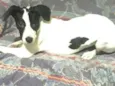Lupita
