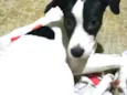 Lupita