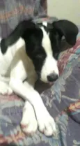 Lupita