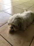 ?