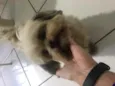 ?
