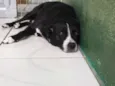 Desconhecido