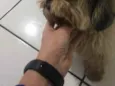 ?