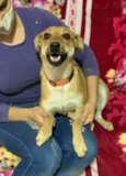 Mel