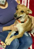 Mel