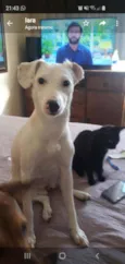 Nina