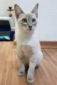 JULIE