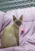 JULIE