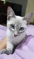 JULIE