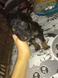 Não tem nome