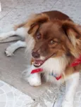 TEDDY