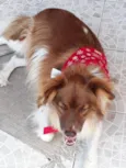 TEDDY