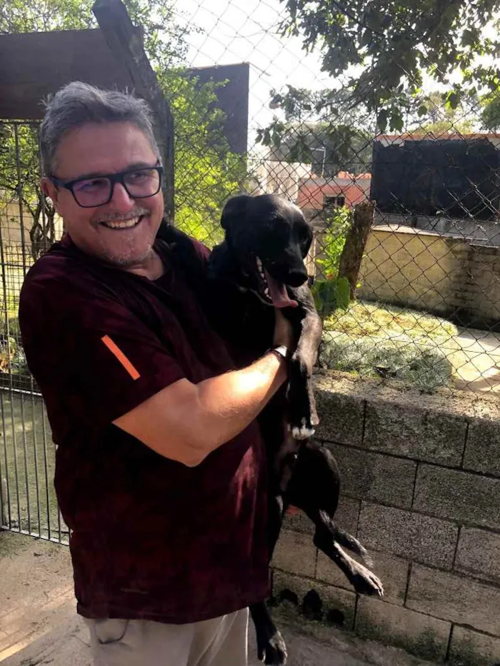 Cachorro ra a Srd idade 1 ano nome Mike