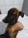 bruce