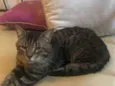 Óliver