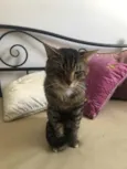 Óliver