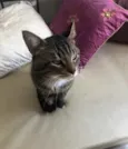 Óliver