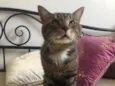 Óliver