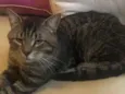 Óliver