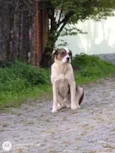 Beethoven