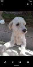 Igor