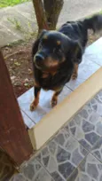 Duda