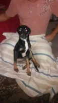 Sansão