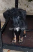 Minnie