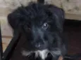 Minnie
