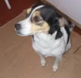 Nina