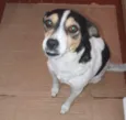 Nina