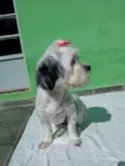 Belinha