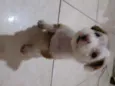 ....