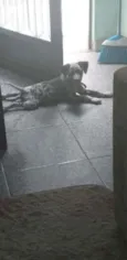 Zoe